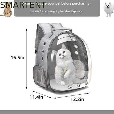 Unisex Durable Washable Non toxic Cute Pet Supplies Featuring Playful Fun Style Hiking Backpack fournisseur
