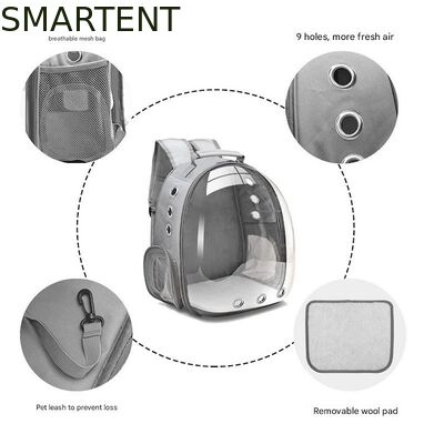 Unisex Durable Washable Non toxic Cute Pet Supplies Featuring Playful Fun Style Hiking Backpack fournisseur