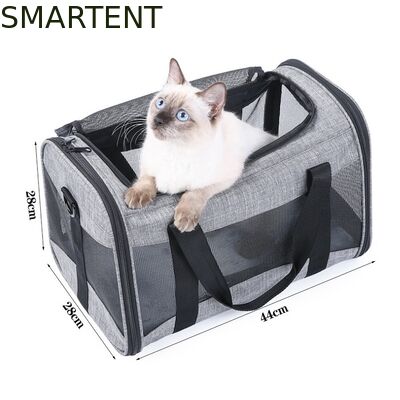 Acheter Grands articles pour animaux de compagnie mignons, unisexes, pour l'intérieur et l'extérieur, pour les animaux actifs, avec des colliers, laisses et sacs de transport confortables fabrication en ligne