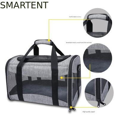 Large Cute Pet Supplies Unisex Indoor Outdoor Gear for Active Pets Featuring Comfortable Collars Leashes and Carriers fournisseur