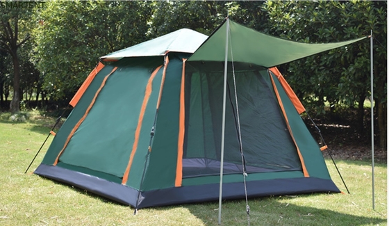 Tentes de camping extérieures à l'épreuve du soleil et ventilées cadre automatique en fibre de verre 210D polyester 240*240*140cm Design moderne vert fournisseur