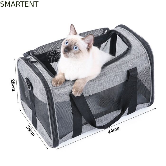 Large Cute Pet Supplies Unisex Indoor Outdoor Gear for Active Pets Featuring Comfortable Collars Leashes and Carriers fournisseur