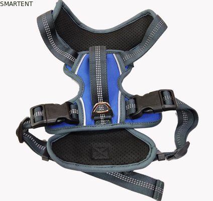 Petit de chien de teckel réglable polyester multi d'éponge de couleur d'accolade de retour